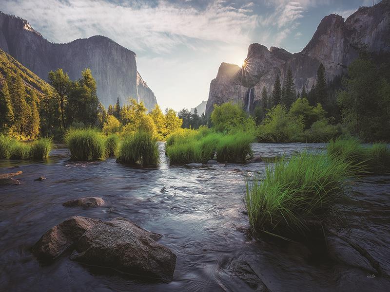 Yosemite Valley By Martin Podt Photography - Green