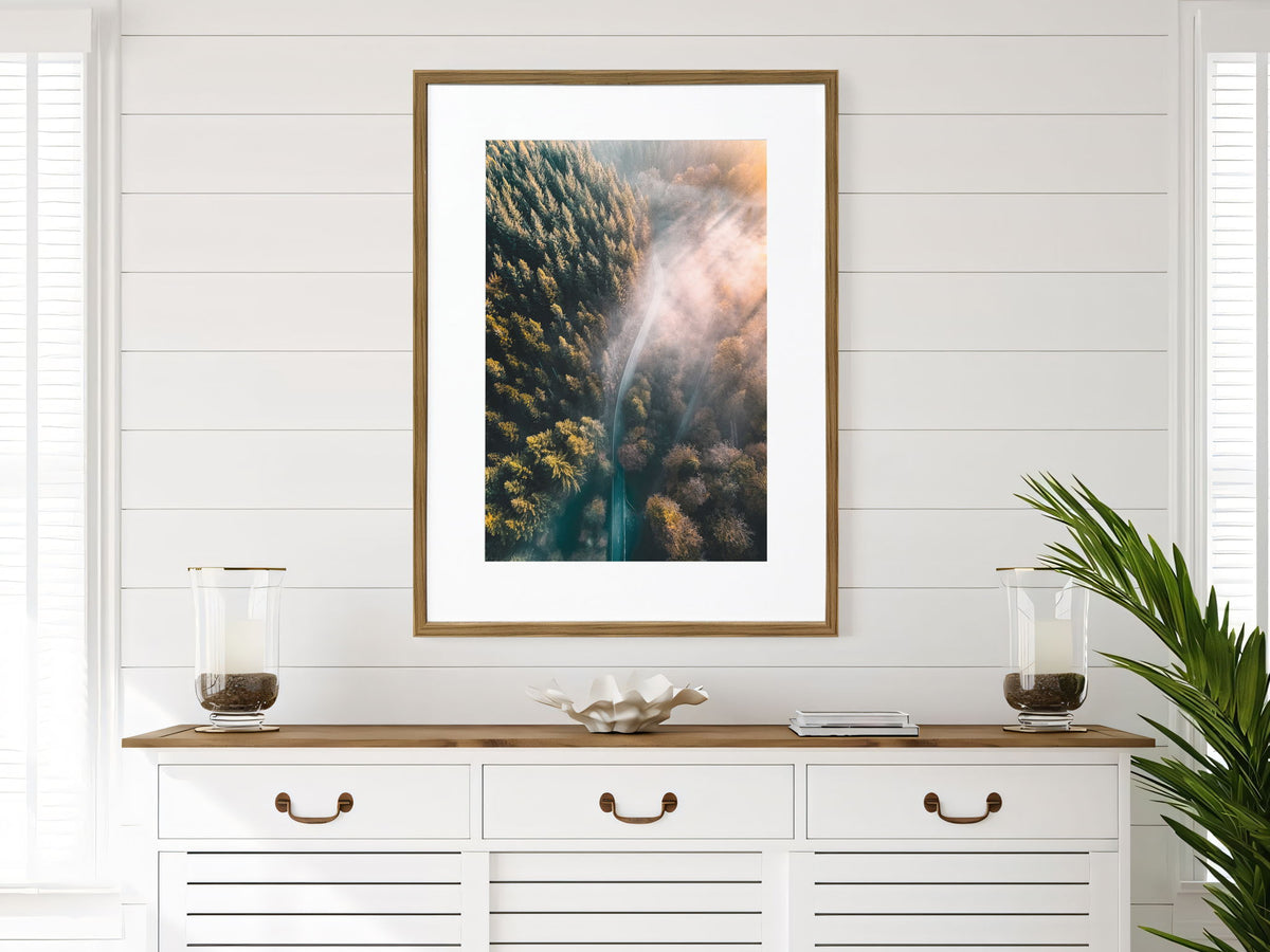 Pinebound Light II - 24 X 32 - Framed Print Under Glass - Green