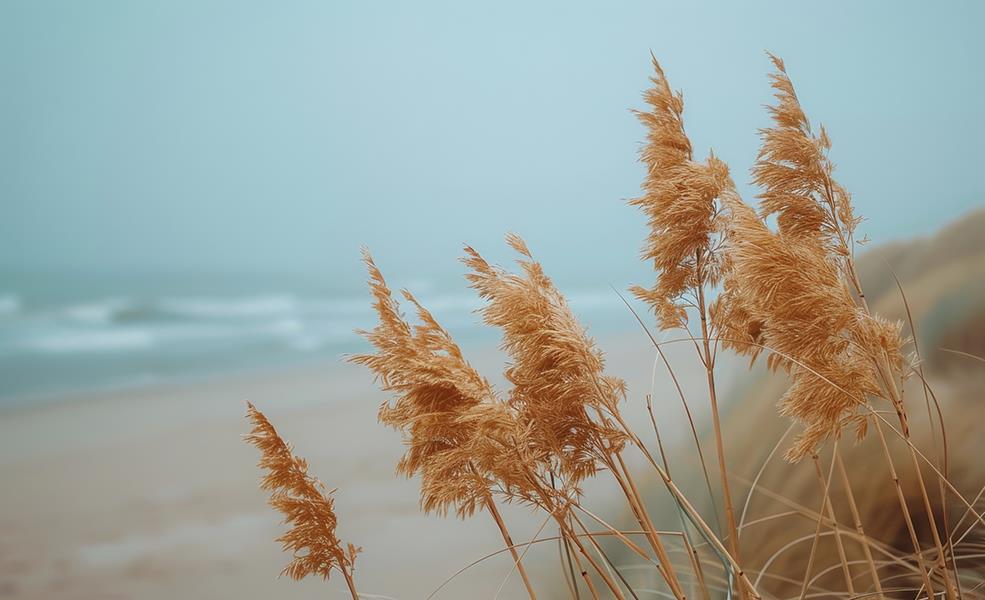 Blowing In The Wind - Blue