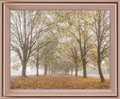 Golden Mist Avenue - 28" x 34" Framed Wall Art