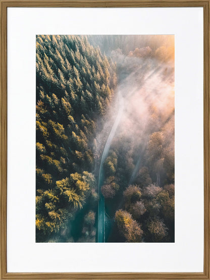 Pinebound Light II - 24 X 32 - Framed Print Under Glass - Green
