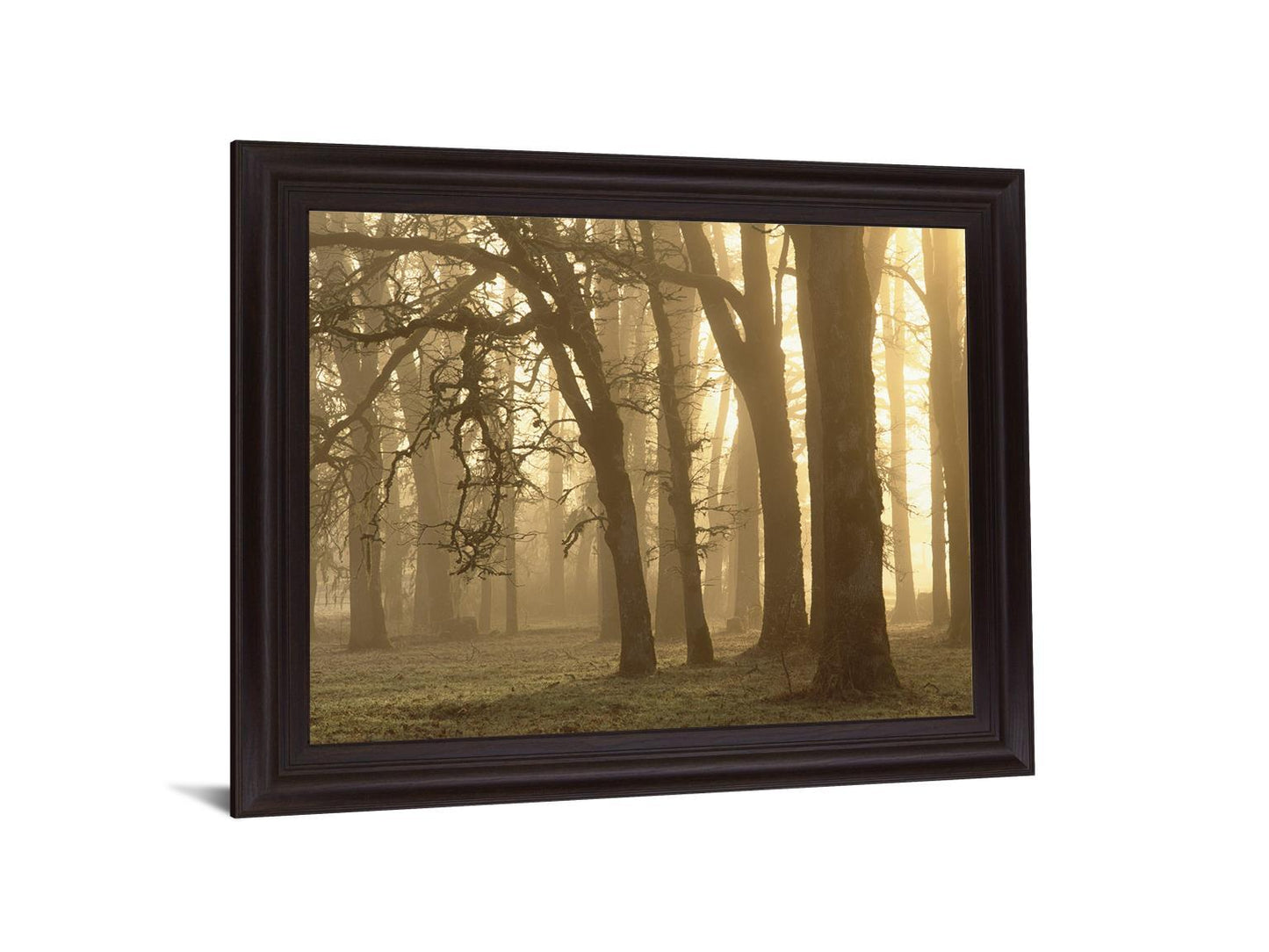 Misty Golden Grove - 28" x 34" Framed Wall Art