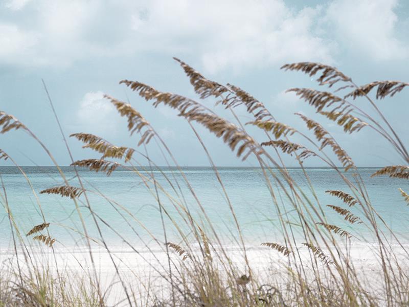 Solitude Beach By Danita Delimont (Framed Small) - Light Blue