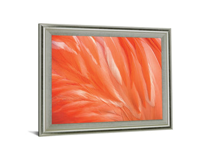 Citrus Plumage - 28" x 34" Framed Wall Art