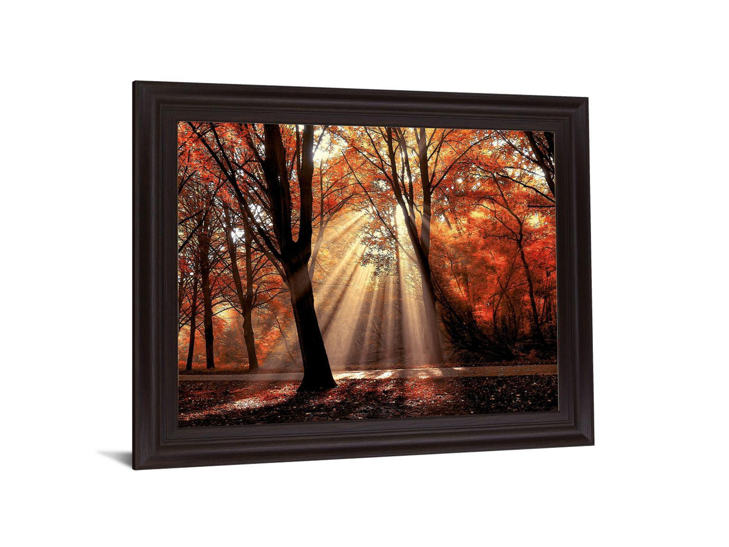 Radiant Maple Glow - 28" x 34" Framed Wall Art