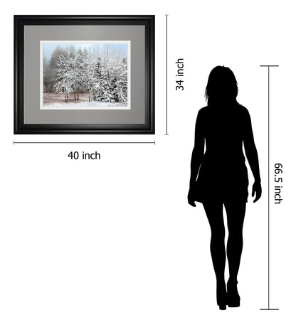 Frosty Morning By Mike Jone - Framed Print Wall Art - Gray