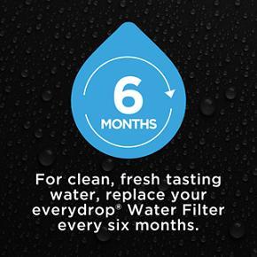 Everydrop Refrigerator Water Filter 4 (Pack Of 1)