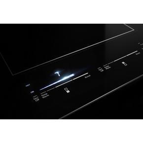 Oblivion Glass 24" Induction Cooktop