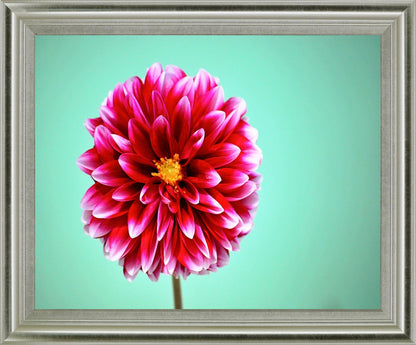 Crimson Radiance - 28" x 34" Framed Wall Art