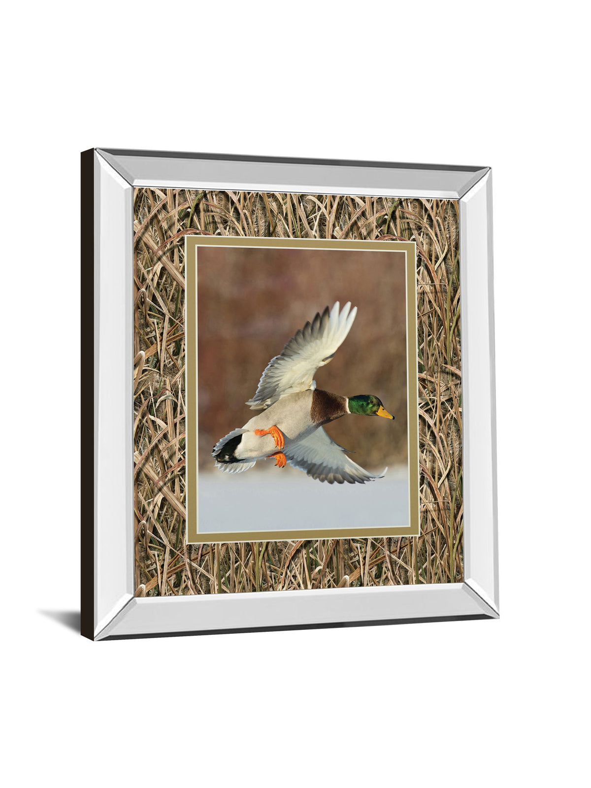 Flying Mallard By Steve Oehlenschlager Mirror Framed Mossy Oak Native Living Print - Light Brown