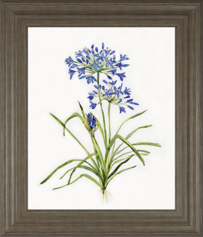 22x26 Lively Botanical I By Sally Swatland - White