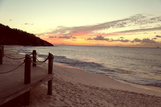 Enjoy The Simple View By Susan Bryant - Blue