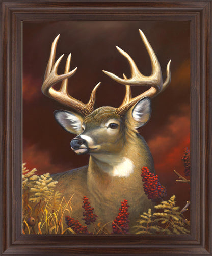Crimson Meadow Stag - 28" x 34" Framed Wall Art