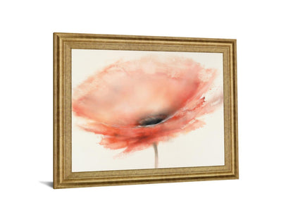 Coral Mist - 28" x 34" Framed Wall Art