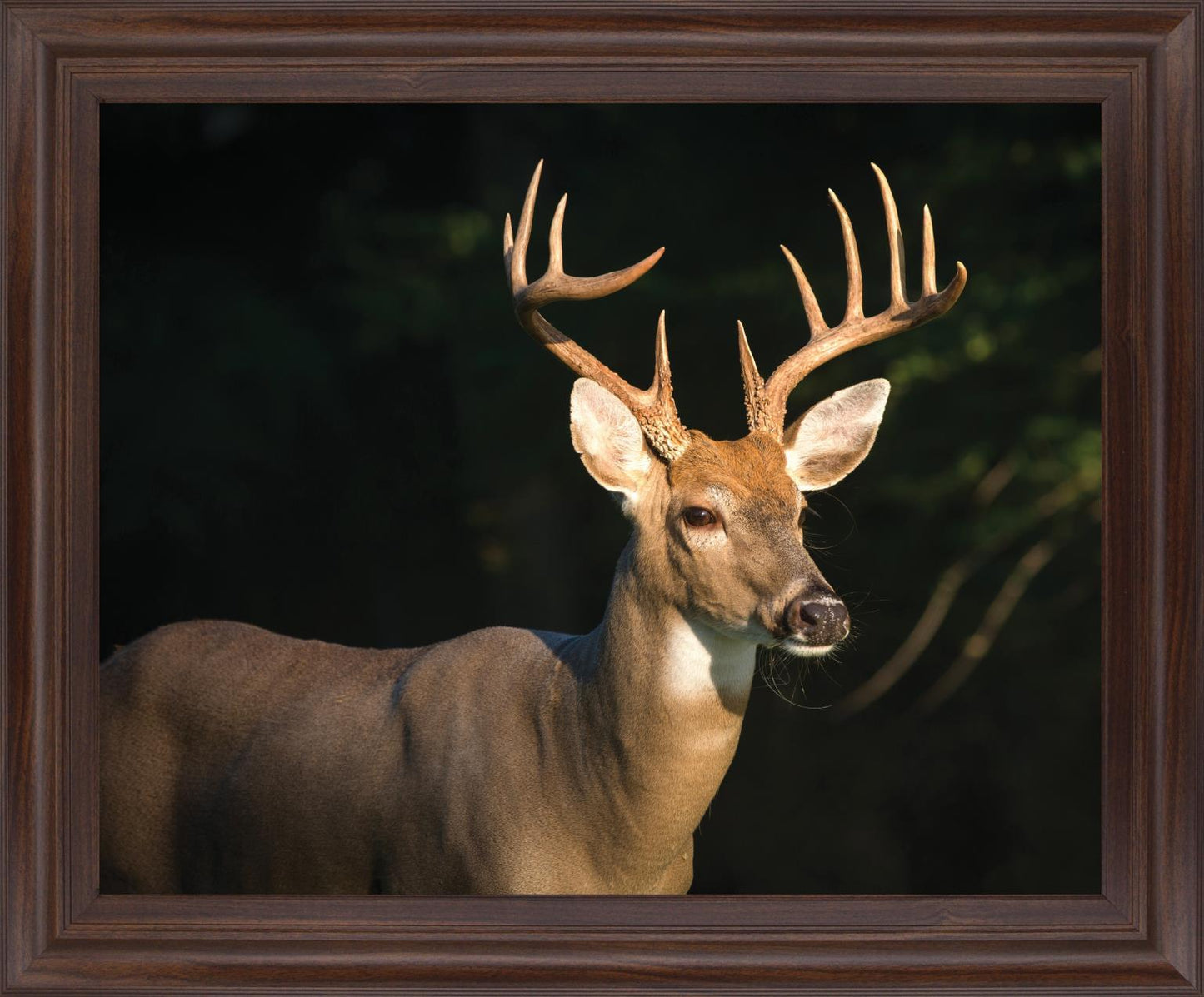Forest Sentinel - 28" x 34" Framed Wall Art