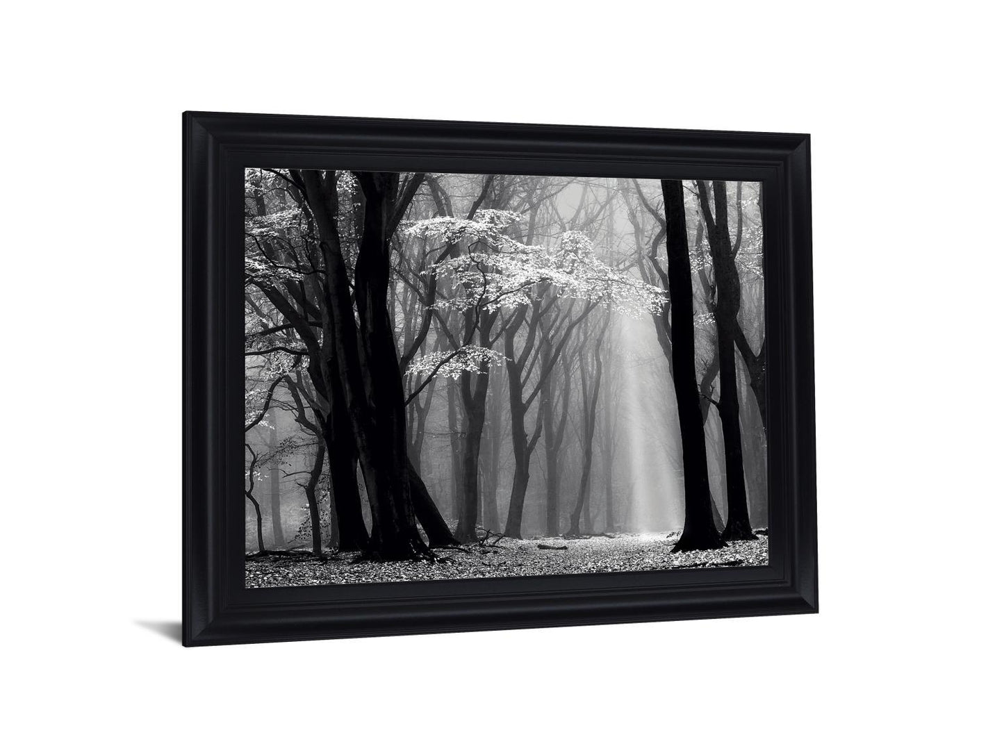 Silent Grove Shadows - 28" x 34" Framed Wall Art