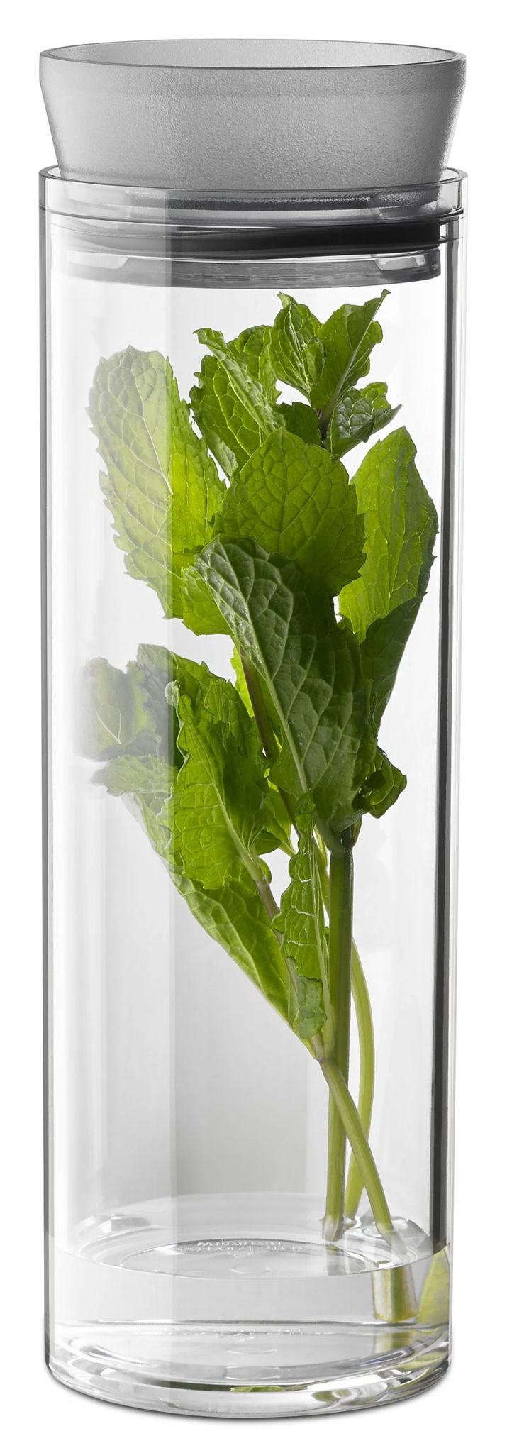 Refrigerator Herb Tender For Storing And Keeping Herbs Fresh In All Refrigerators