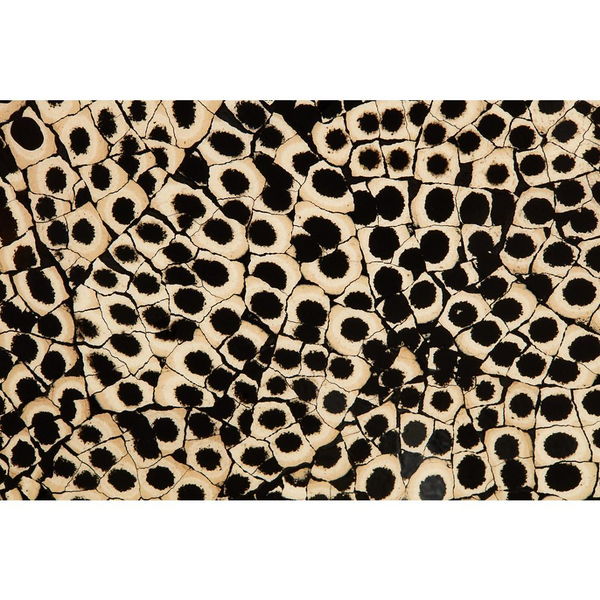 36" Elements Collection Custom Column Panel - Eggshell Snakeskin Black