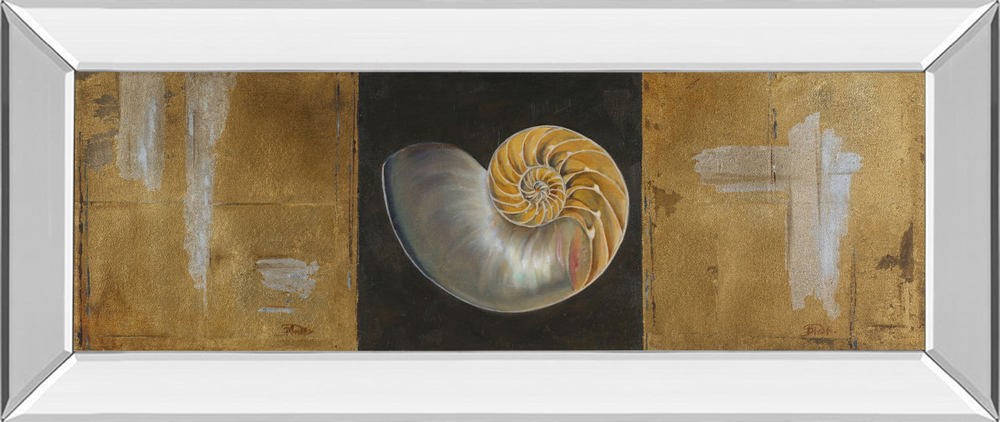 Seashells Il By Patricia Pinto - Mirror Framed Print Wall Art - Yellow