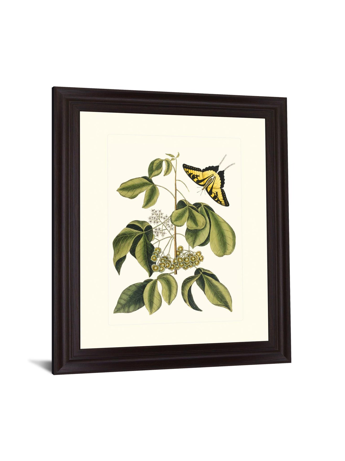 Butterfly Grove - 28" x 34" Framed Wall Art