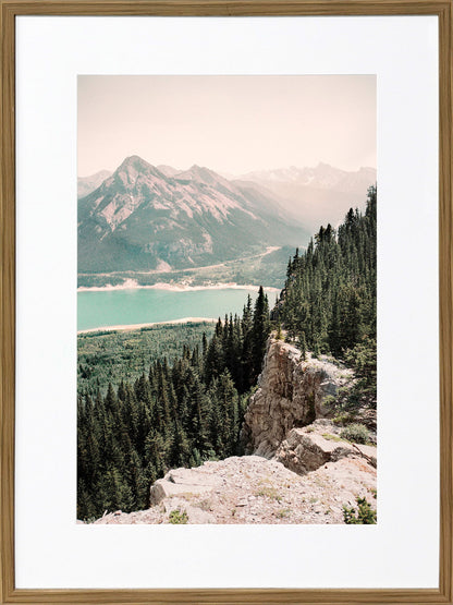 Pinebound Light I - 24 X 32 - Framed Print Under Glass - Green