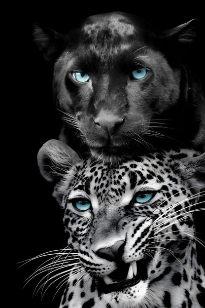 Azure Gaze Duo - 40" x 60" Framed Wall Art