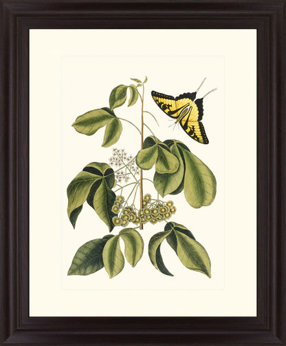 Butterfly Grove - 28" x 34" Framed Wall Art