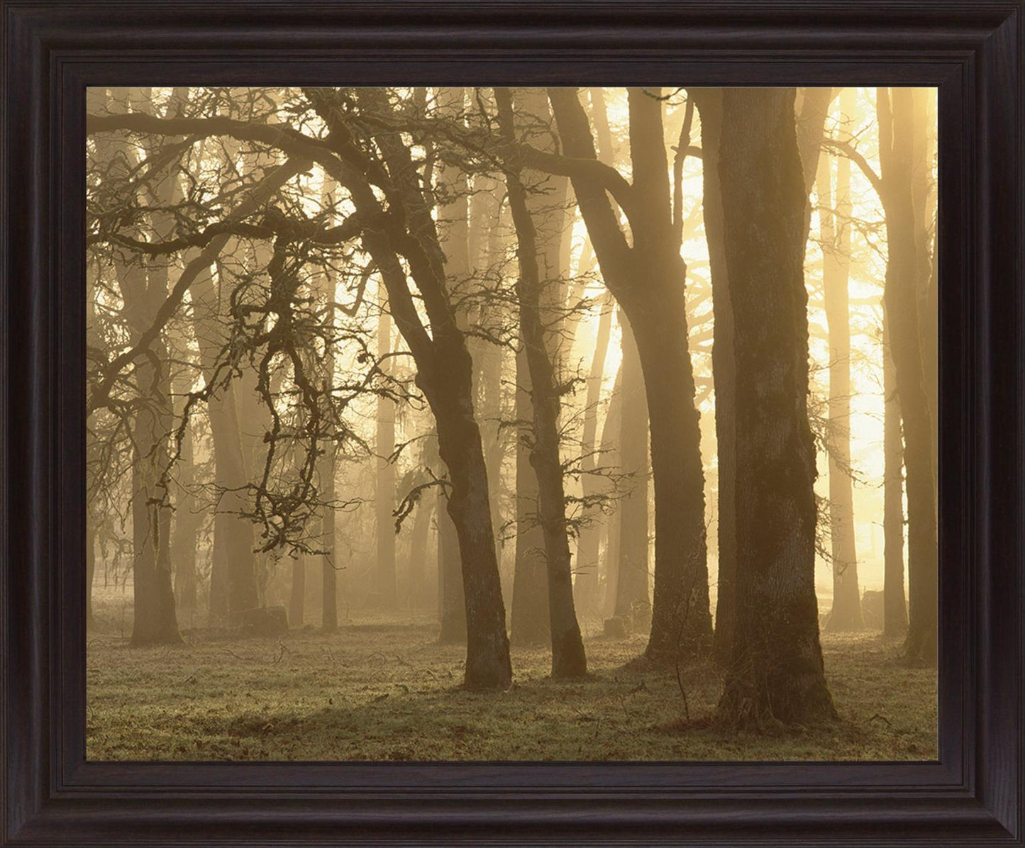 Misty Golden Grove - 28" x 34" Framed Wall Art
