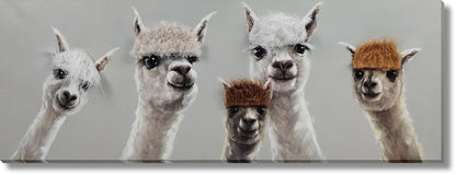 Whimsical Llama Lineup - 20" x 60" Framed Wall Art